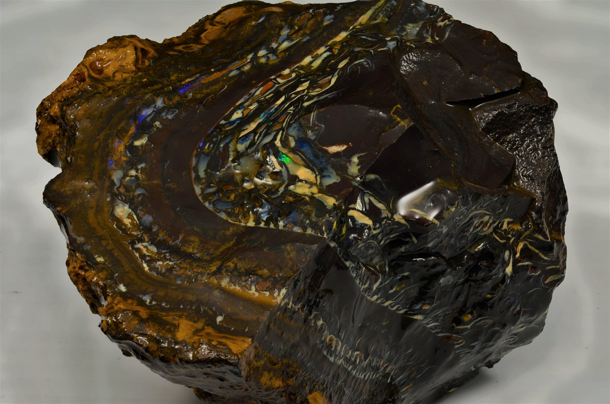 Queensland Boulder Opal