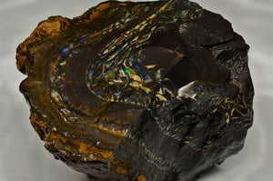 Queensland Boulder Opal